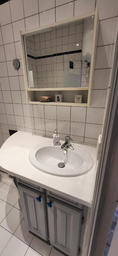 Le Saint Frobert - Hyper Centre - Bouchon Apartment Troyes Bagian luar foto